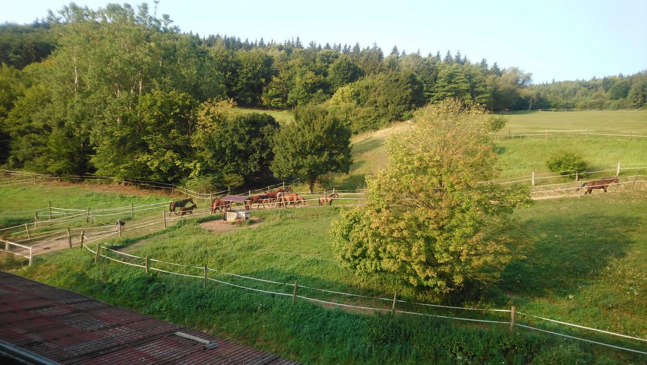 Appartamento Zrebcin Mlyncok Slovenska Lupca Esterno foto