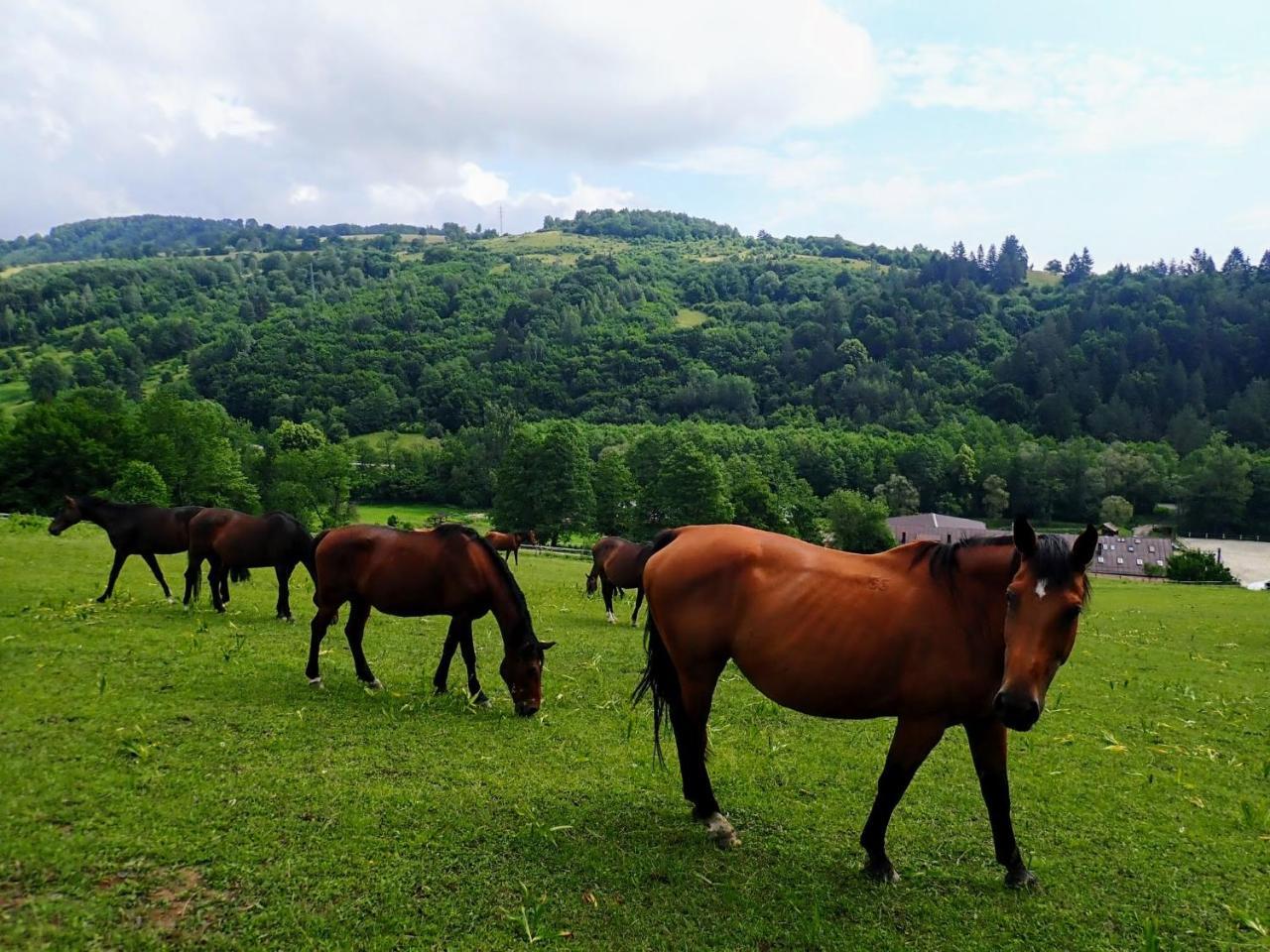 Appartamento Zrebcin Mlyncok Slovenska Lupca Esterno foto