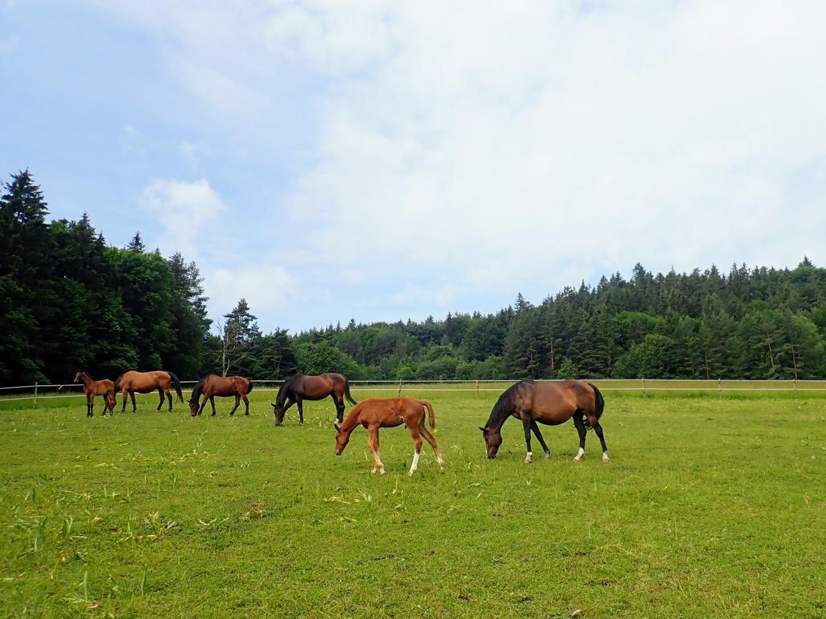 Appartamento Zrebcin Mlyncok Slovenska Lupca Esterno foto