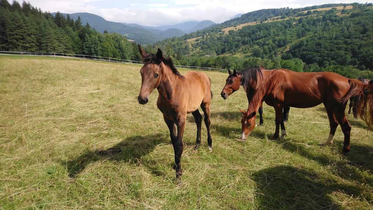 Appartamento Zrebcin Mlyncok Slovenska Lupca Esterno foto