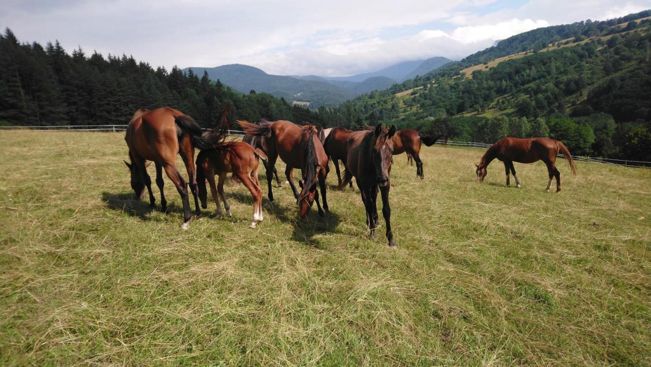 Appartamento Zrebcin Mlyncok Slovenska Lupca Esterno foto